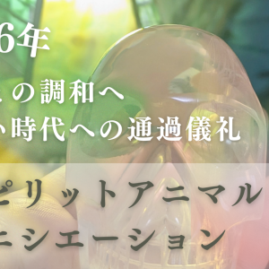 スピリットアニマル・イニシエーション